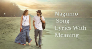 Nagumo Song Lyrics With Meaning - hridayam