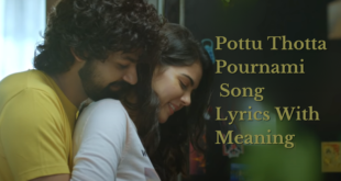 Pottu Thotta Pournami Song Lyrics With Meaning - hridayam