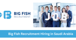 Big Fish Recruitment Hiring in Saudi Arabia